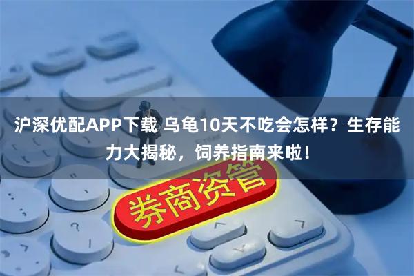 沪深优配APP下载 乌龟10天不吃会怎样？生存能力大揭秘，饲养指南来啦！