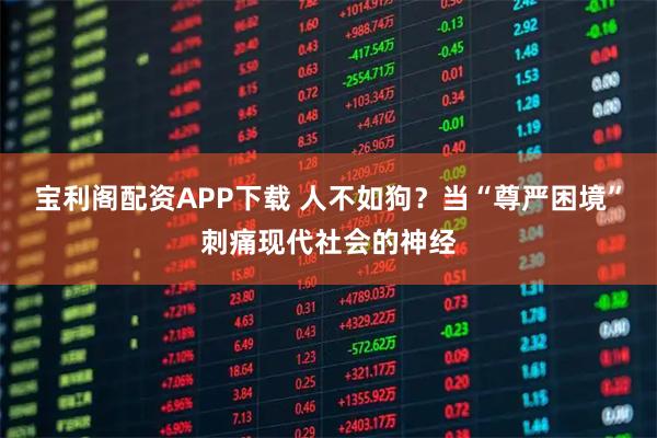 宝利阁配资APP下载 人不如狗？当“尊严困境”刺痛现代社会的神经