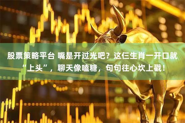 股票策略平台 嘴是开过光吧？这仨生肖一开口就“上头”，聊天像嗑糖，句句往心坎上戳！